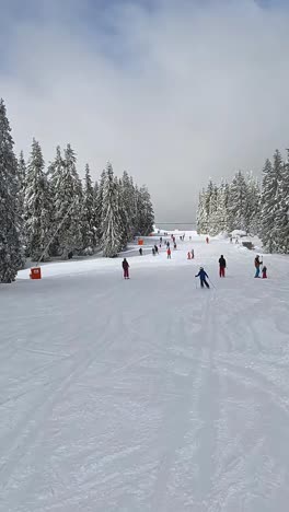 Vertikale-Video-POV-Aufnahme-Eines-Skifahrers,-Der-Die-Schneebedeckte-Piste-1-Hinunterfährt